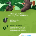 Infográfico Manejo da Fauna (1)