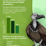 Infográfico Manejo da Fauna (3)