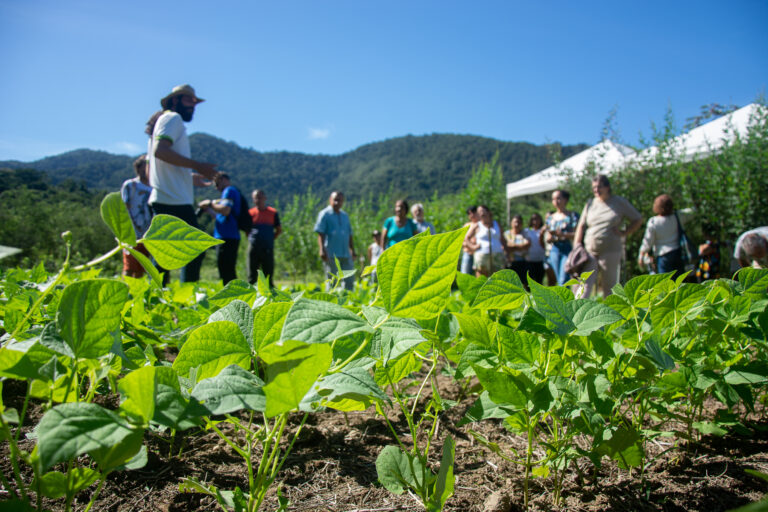 Inova realiza dia de campo de feijões especiais