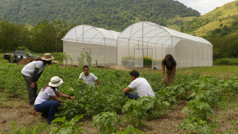 Codemar e Biotec mostram projetos em parceria com a UFRRJ na Semana Rural 2023
