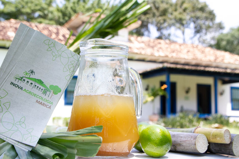 Produção de cana-de-açúcar ganha incentivo em Maricá