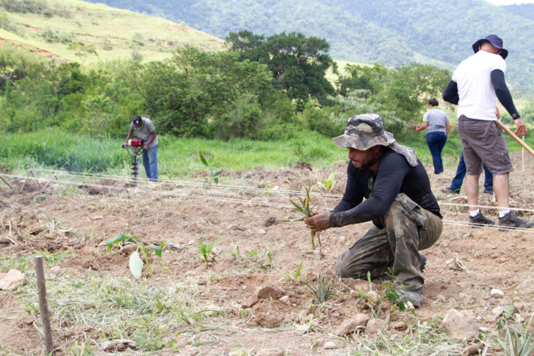 Agricultores recebem capacitação em sistemas agroflorestais