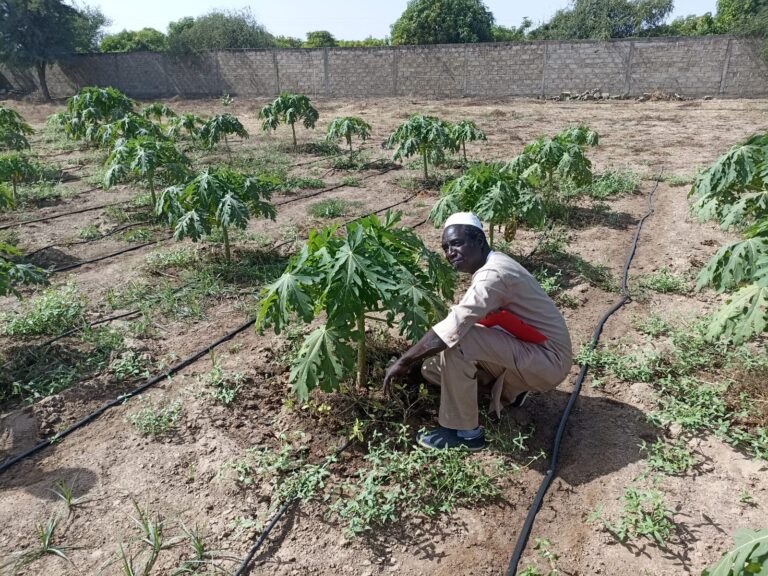 Coordenadores do Inova Agroecologia levam para o Senegal práticas aplicadas em Maricá