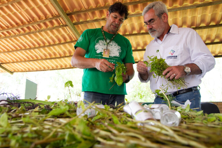 Fazenda da Codemar é primeira da cidade a conseguir certificação orgânica