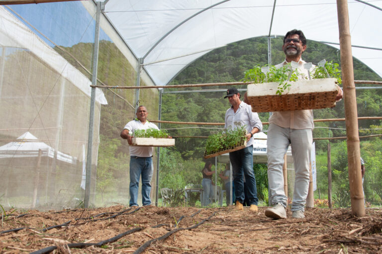 Inova Agroecologia Maricá inicia o 2° plantio de tomates gourmet na Fazenda Pública Joaquín Piñero