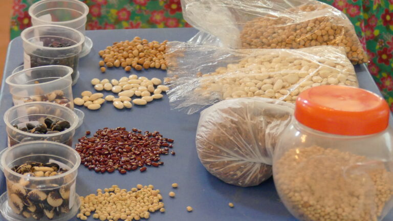 Farmacopeia Mari’ká