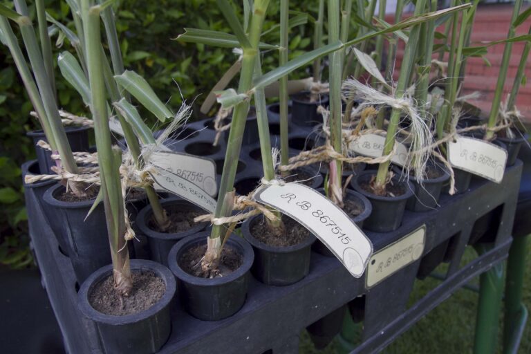 Agroecology Innovation