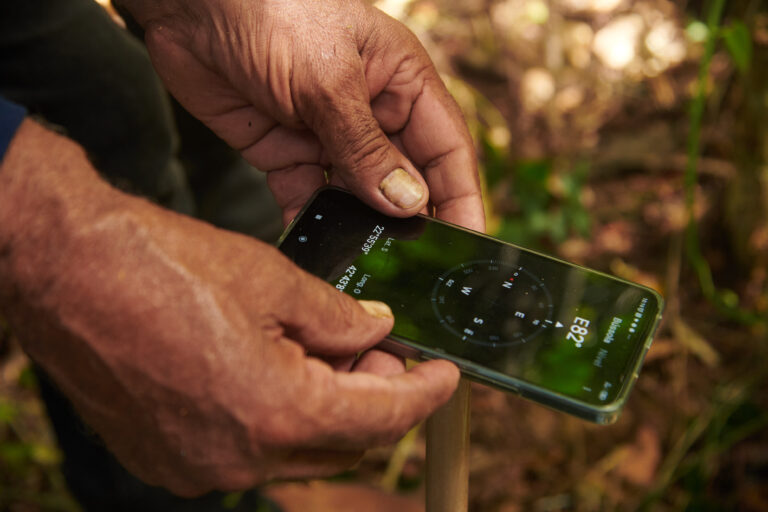 Mumbuca Verde completa um ano