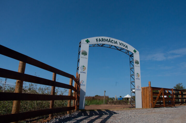 Inscrições abertas para conhecer a Farmácia Viva