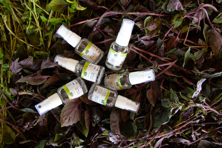 Farmácia Viva promove oficina de preparação de loção repelente