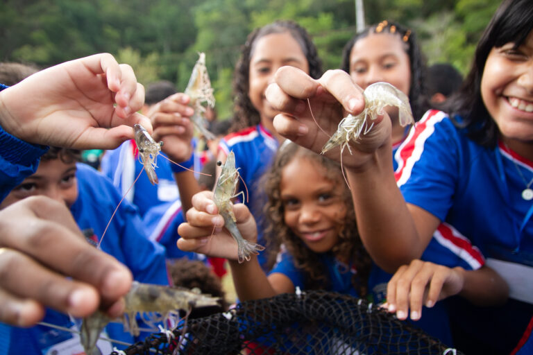 Despesca de 1,5 toneladas de camarões do Ciamar vai para escolas municipais