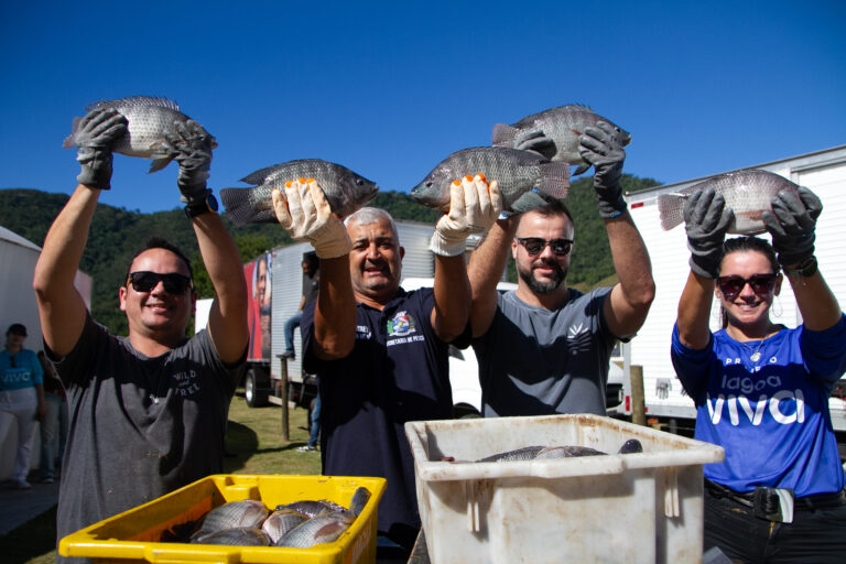 Tilápias cultivadas no Ciamar, em Maricá, serão entregues a moradores do ‘Minha Casa, Minha Vida’ em Itaipuaçu