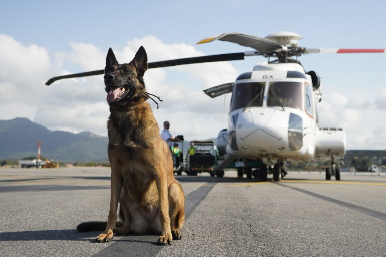 Segurança no Aeroporto de Maricá: Ação Conjunta com Cães Farejadores