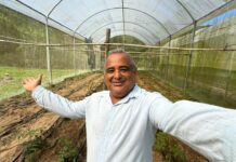 Do campo à mesa: Maricá cultiva tomate San Marzano e outras variedades no Inova Agroecologia