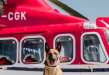 Operações com cães farejadores reforçam segurança preventiva no Aeroporto de Maricá